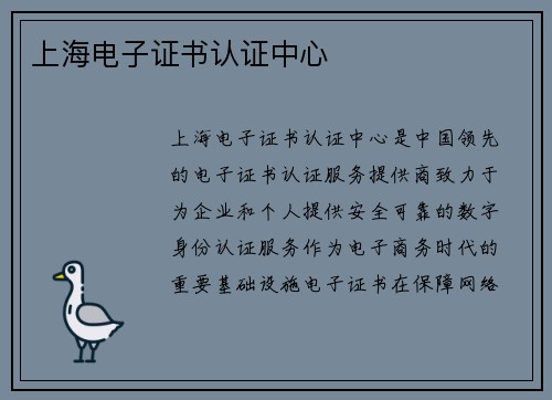上海电子证书认证中心
